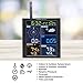 Ambient Weather WS-1965 WiFi Weather Station w/Remote Monitoring and Ambient Weather Network Access