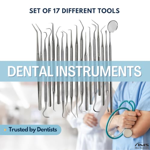 Multifunction Dental Tools 17 Pcs Plaque Remover Teeth Cleaning Set Oral Care Hygiene Kit with Stainless Steel Plaque Cleaner, Tartar Picks, Tooth, Tweezers, Mirror for Dentist, Personal, Family