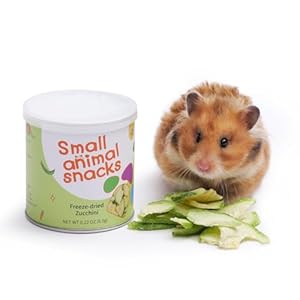 Niteangel Hamster Snack & Treats Toy – Small Animal Natural Treat for Dwarf Syrian Robo Hamsters Gerbils Mice Lemmings Degus or Other Small-Sized Pets (Freeze-dried Zucchini)