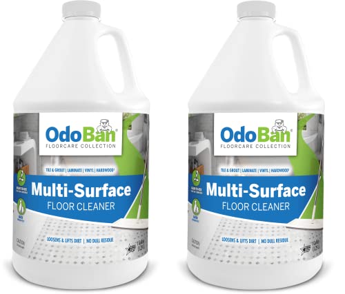 Odoban 936293-G4 Ready-To-Use Multi-Surface Floor Cleaner cover