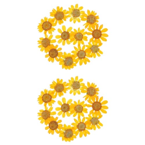 48 flores secas prensadas de margarita para manualidades miniatura 1