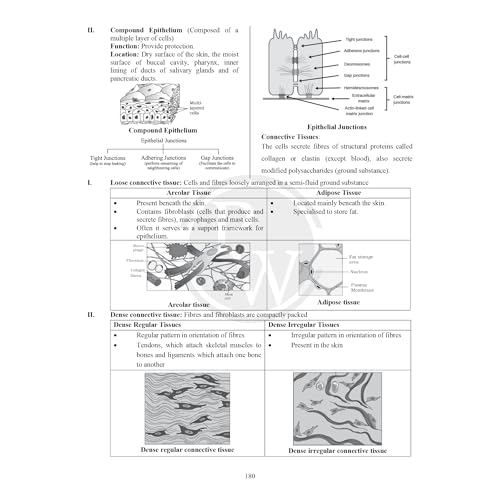 Image of (Old Edition) PW CBSE Class 11 Formula Handbook For 2026 Exams | Chapterwise Key Formulas | Physics, Chemistry, Biology and Mathematics | Conceptual Summaries & Quick Revision Notes