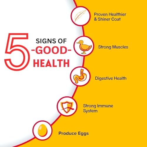 Generic Pets Pro Pigeon, Dove & Hen Food (500 Gm) | Multigrain & Seeds Mix with 12+ Delicious Grains & Nuts for Hen & Doves,All Life Stages