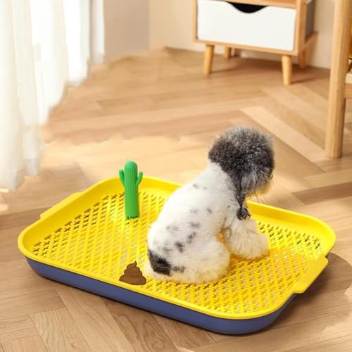 Litière pour chien plateau bleu jaune wc cage