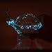 The Living Bioluminescent Bio-Turtle - A Glass Turtle microaquarium Filled with bioluminescent Glowing Plankton