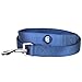 Blueberry Pet Essentials Royal Blue Dog Leash for X-Small -5' * 3/8