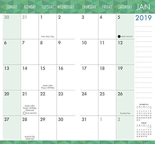 Fish 2019 Two-Year-Plus Pocket Planner