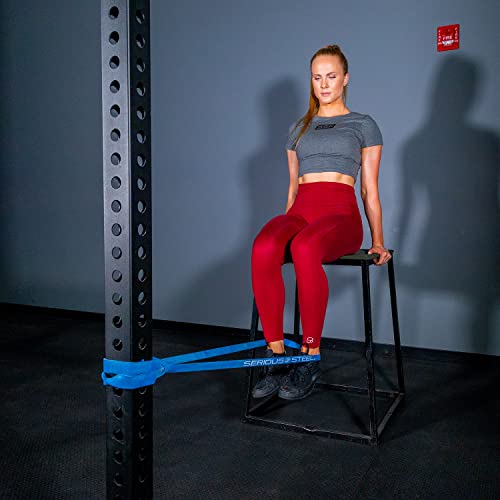 Image of SERIOUS STEEL FITNESS Assisted 41 inch Pull-Up Band, Resistance & Stretch, Powerlifting & Pull-up Assist Loop (Single Band)