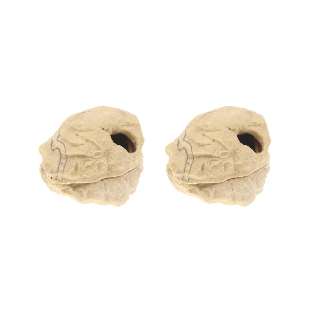 Set di 2 grotte nascoste in resina per rettili con coperchio, decorazione ornamentale a forma di tartaruga a forma di pesce