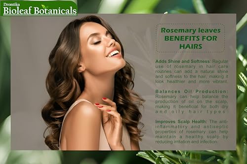 Image of Bioleaf Botanicals Leaves - 100gm | Dried Rosemary | Pure & Premium + FREE Mist Spray Bottle
