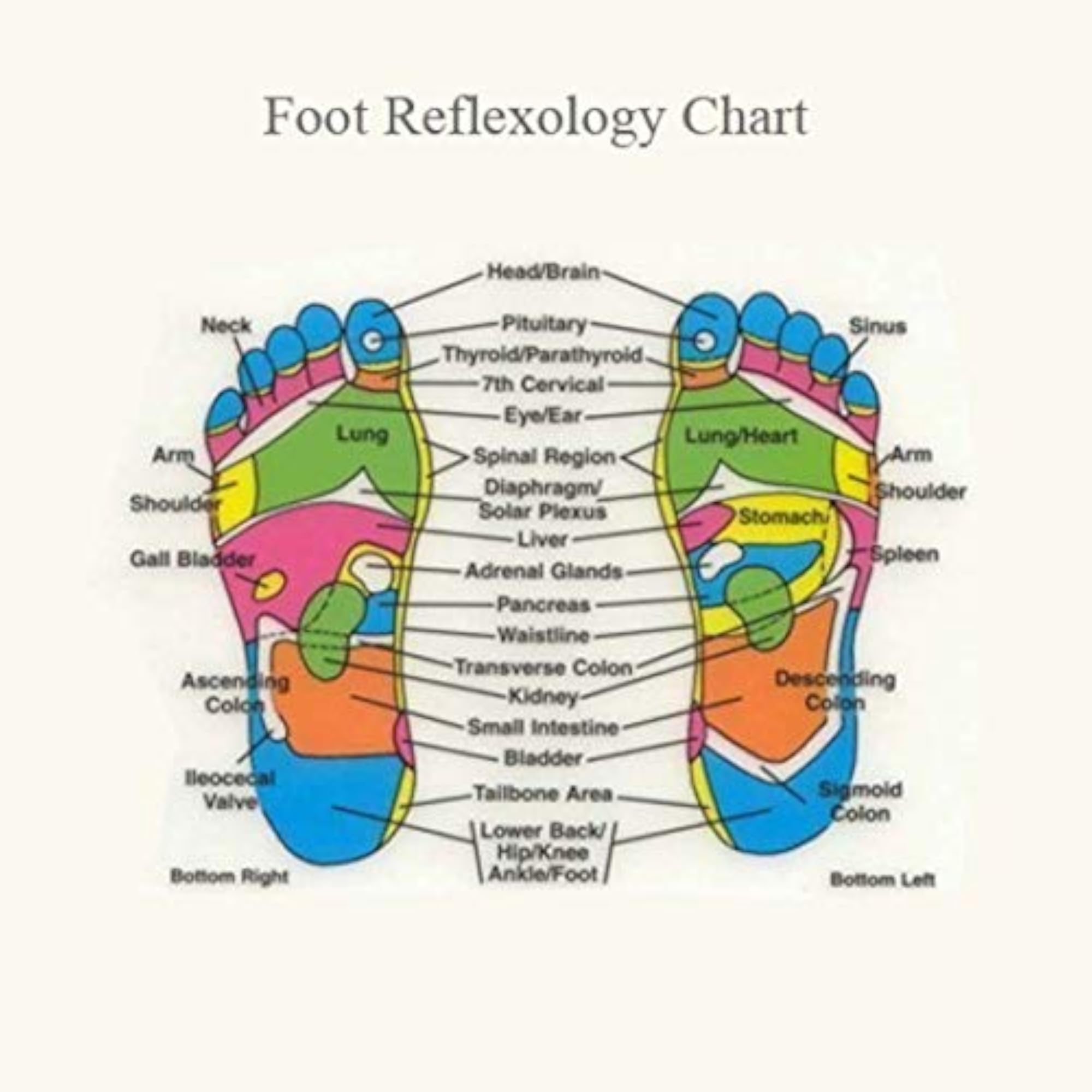 Acupressure Washable Slippers, Relieves Pressure & Pain Points