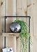 ZGHQHCDRH 12x6x27 Industrial Iron and Wood Two-Tier Wall Shelf with Plate Grooves