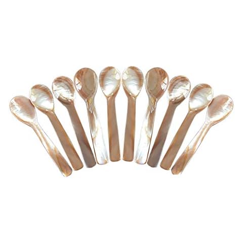 DUEBEL Set of 10 Mother of Pearl Spoons Cover