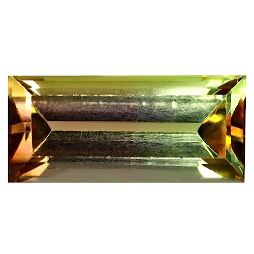 Tourmaline bicolore 12x6mm pierre gemme naturelle non traitée L