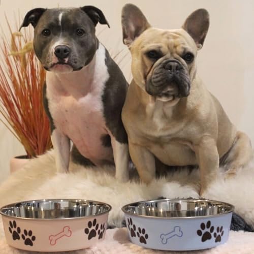 image for Loving Pets Bella Dog Bowls- Stainless Steel Dog & Cat Bowls - Spill P