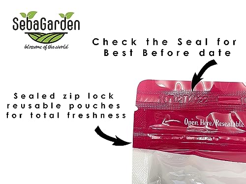 Seba Garden 800g Californian Walnut Halves Premium Grade