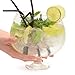 Produktbild Fishbowl FISCHGLAS Kristall Glas Gin Cocktail Sharing Schüssel Party Set mit Strohhalmen und Eiswürfel, klar, 3 Liter