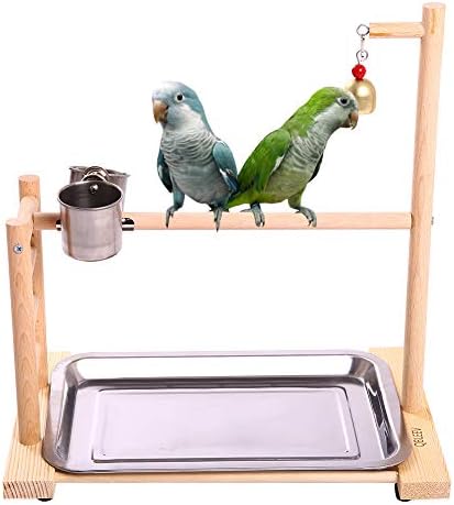 QBLEEV Birdcage Stands Parrot Play Gym Wood Conure Playground Bird Cage Stands Accessories Birdhouse Decor Table Top PlayStand with Ladder Stainless Steel Feeder Cup Tray for Small Medium Parakeets Ca