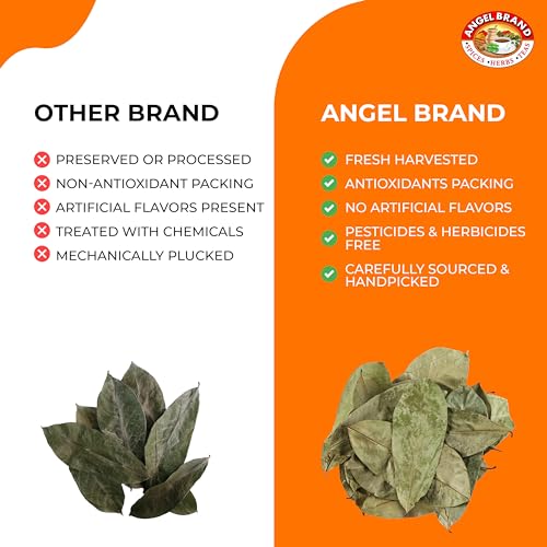 Angel Brand Dried Guanabana Leaves for Herbal Tea – Ideal for Brewing Refreshing and Beneficial Drinks – 2oz