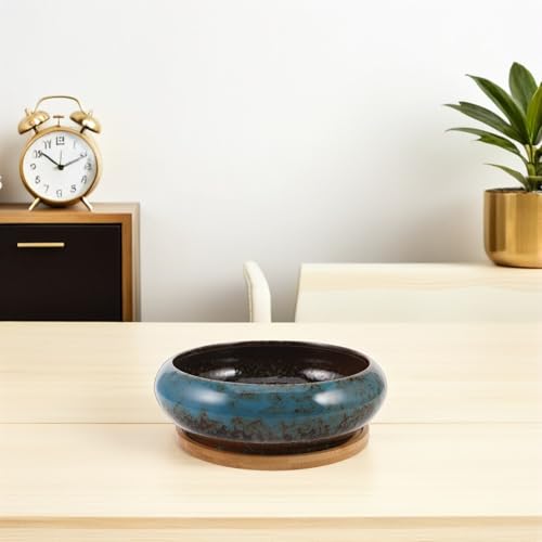 Bol hydroponique pot peu profond céramique bleu pour succulentes - 8