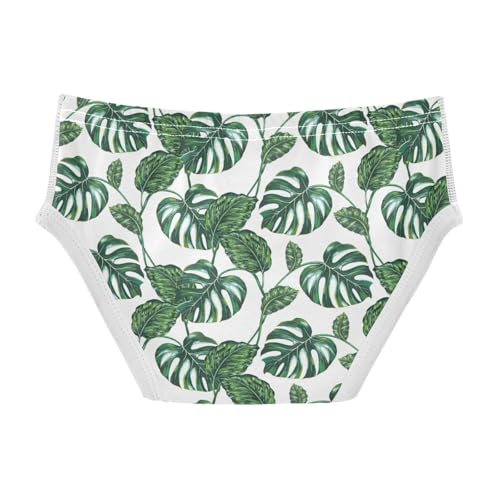 Boys' Exclusive Briefs Toddler Underwear 95% Combed Cotton Boxerbriefs 2T Monstera Leaf Pattern 532