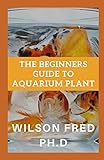  The Beginners Guide To Aquarium Plant: Setting Up a Basic Freshwater Aquarium