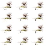 Premium Hand-Tied Dry Flies for Fly Fishing – Crafted with durable materials for long-lasting use, these Blue Winged Olive Parachutes belong in every trout angler’s fly box. Realistic Mayfly Imitation – Accurately mimics natural Blue Winged Olives, p...