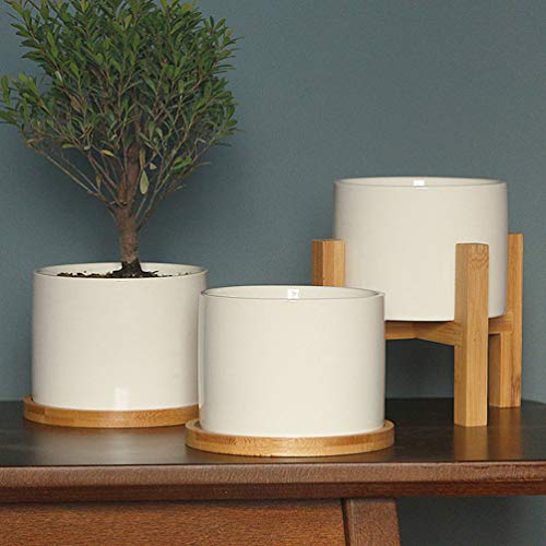 Tehaux – 6 peças de bambu redondo para plantas suculentas, bandeja de drenagem para planta de cacto,