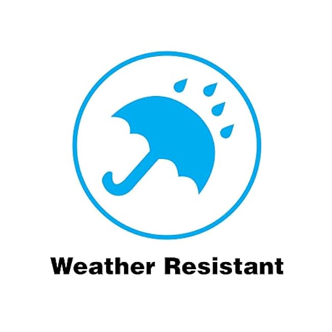 Designers Fountain Barrow LED Outdoor Light Fixture, 6 Inch Exterior Wall Lantern Sconce for Front Door, Patio and Porch, Satin Platinum, LED33001-SP