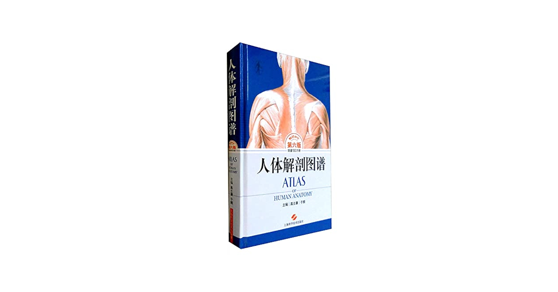 人体解剖图谱(第六版） [Atlas of Human Anatomy] 高士濂于频编