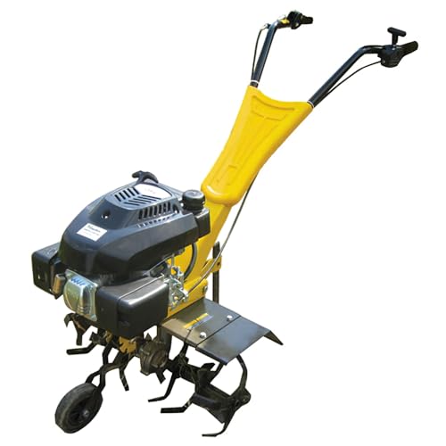 Papillon 8062050 Motozappa Benzina Papillon 173 cc 60 cm