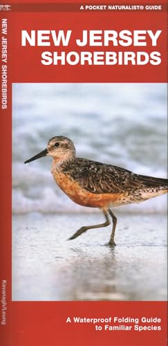 New Jersey Shorebirds (Nature Observation North America)