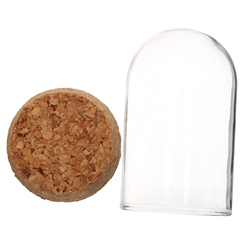 STOBAZA Glass Display Box Display Cover for Mini Collections Container Display Dome for Artworks