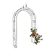 relaxdays-10020028-arche-a-rosiers-pointue-tuteur-de-plantes-grimpantes-support-de-jardin-fer-noir-en-metal-obelisque-pour-fleurs-arceaux-colonne-h-x-l-x-p-242-x-138-x-355-cm