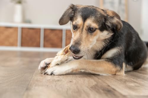 TRIXIE Kaninchenohren mit Fell, getrocknet - Hundesnack - perfekt zum Kauen - 500 g - 27126