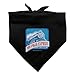 The Polar Express All Aboard Dog Pet Bandana