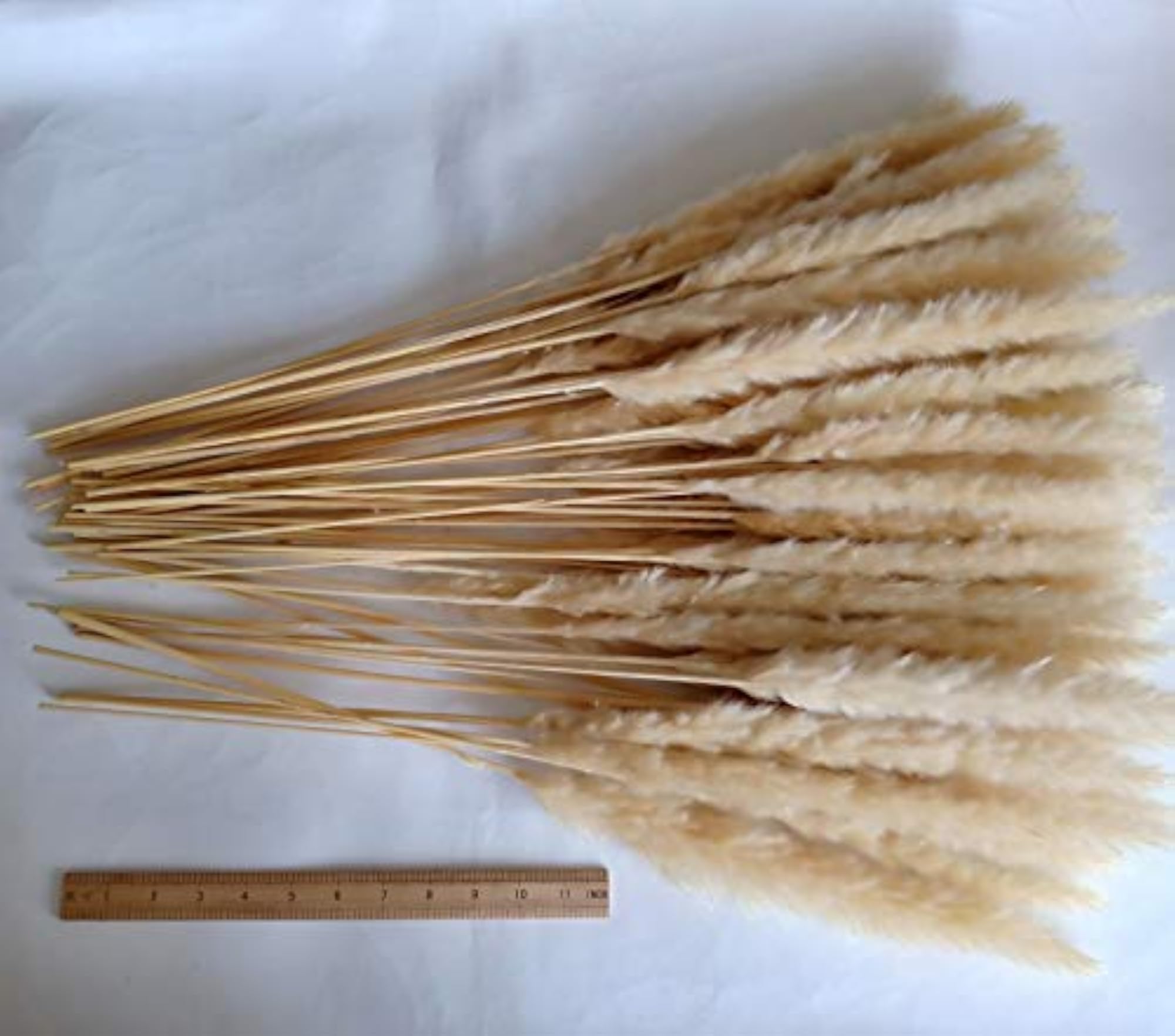 Feather Small Pampas Grass Bunch for Wedding Decor