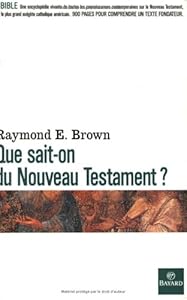Book's Cover of Que sait-on du Nouveau Testament ?