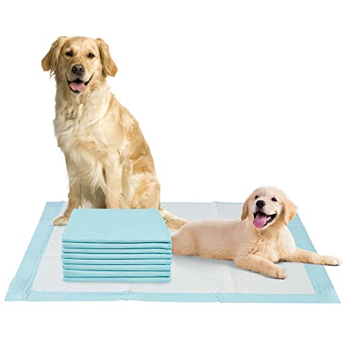 Top 10 Puppy Pads With Adhesive of 2022 Katynel