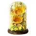 Sunflower Gifts for Women,Preserved Sunflowers Real Flowers in Glass Dome,Birthday Sunflowers Gifts for Mom Women Grandma Mom Wife