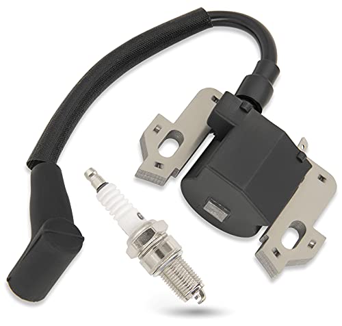 GCV160 Ignition Coil with Spark Plug