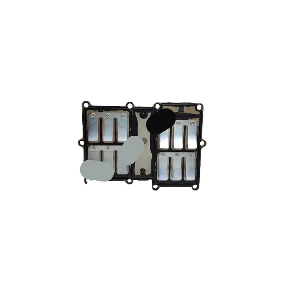 Ensemble de clapets pour moteur hors-bord DT30 DT25 DT20 contre la perte de puissance