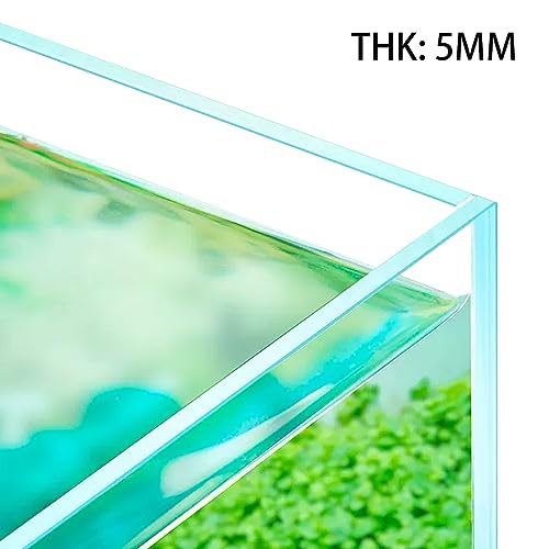 Image of LYPHARD AQUARIUMS 2.9 Gallon Rimless Aquarium, Ultra Clear Glass Low Iron Aquarium Tank, Small Fish Tank for Betta, L11.8xW5.9xH9.8 Inches Thickness 5mm with EVA Foam Mat Included