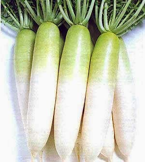 Golden Hills Farm® (AVG 500-1000) seeds GREEN RADISH PARADISE SEEDS (B0861RVLC8) Amazon Price History, Amazon Price Tracker