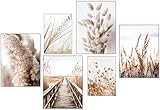 Poster Set - OHNE Bilderrahmen - Dekoratives Wandbild; Moderne in Wohnzimmer, Schlafzimmer - Großes Bilder Set - Stilvolle Wandposter - Wandbilder Set 6 Stück – Pflanzen PoStar KPMA236