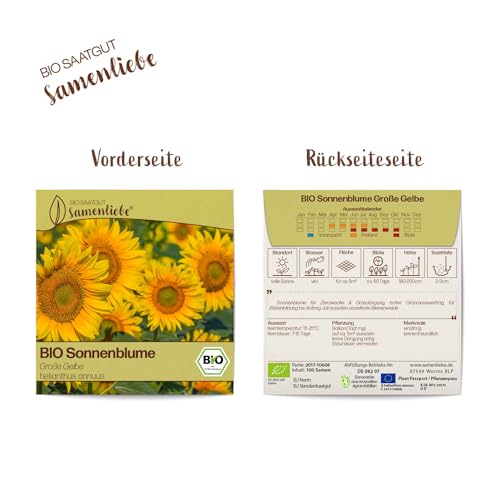BIO Sonnenblumensamen von Samenliebe – Große Gelbe, für Garten und Balkon