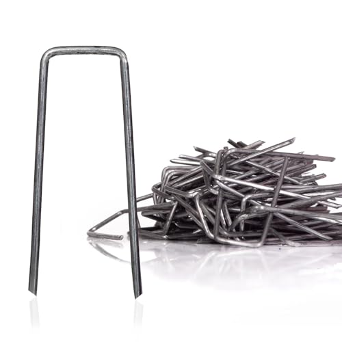 Talvani Premium Römerhaften - Krampen für Kränze und Floristikbedarf - 10mm x 30mm - (Römerhaften | 10 mm x 30 mm | 100 Stück) Talvani Premium Römerhaften - Krampen für Kränze und Floristikbedarf - 10mm x 30mm - (Römerhaften | 10 mm x 30 mm | 100 Stück)