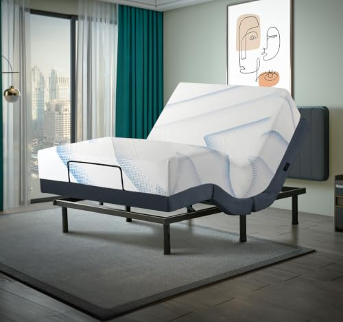 Irvine Home Collection King Adjustable Bed