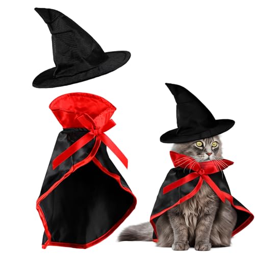 Disfraz Halloween para mascotas pequeños capa y sombrero