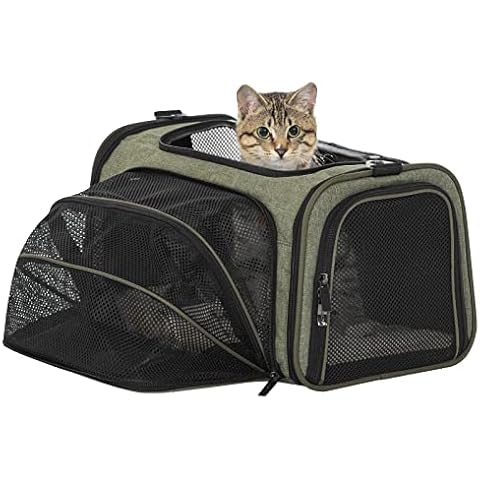 Petsfit Expandable Rabbit Carrier Small Cat Carrier Airline Approved, 16X10X9 Inches Soft-Sided Portable Small Animal Travel Bag for Kitten/Puppy/Bunny/Guinea Pig Cover